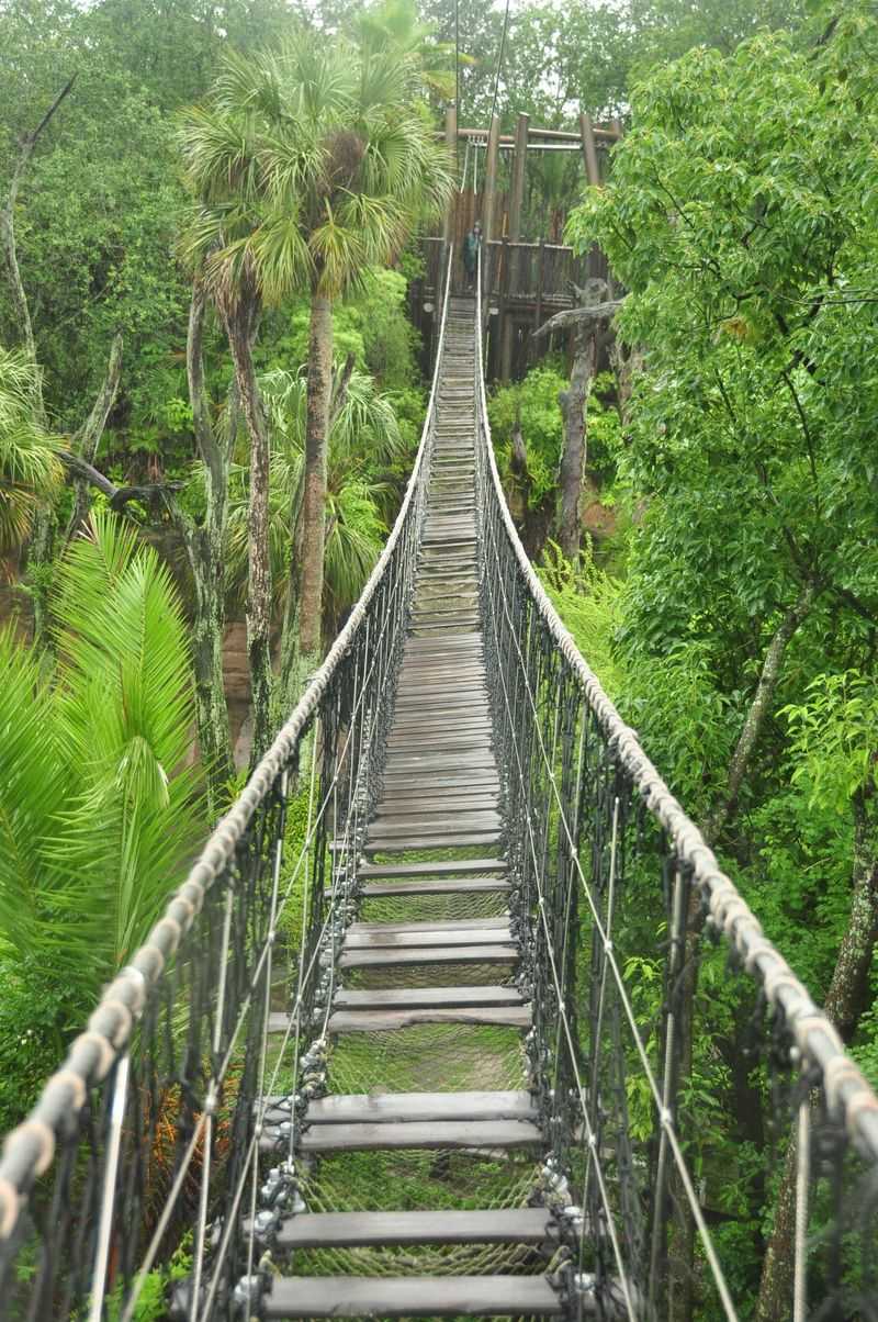 Wild Africa Trek
