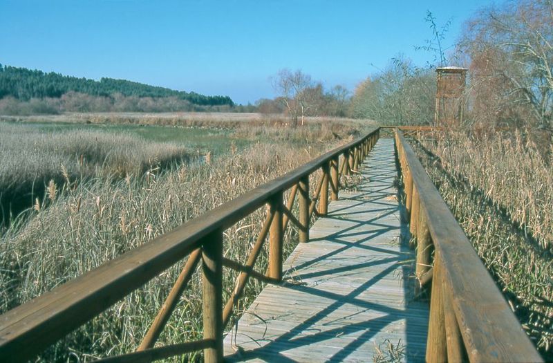 Paul de Arzila Nature Reserve