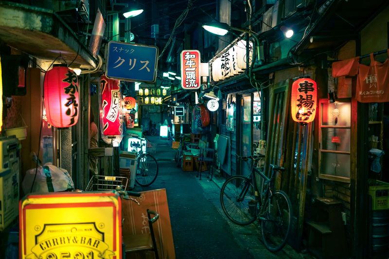 Japan's Nightlife Districts