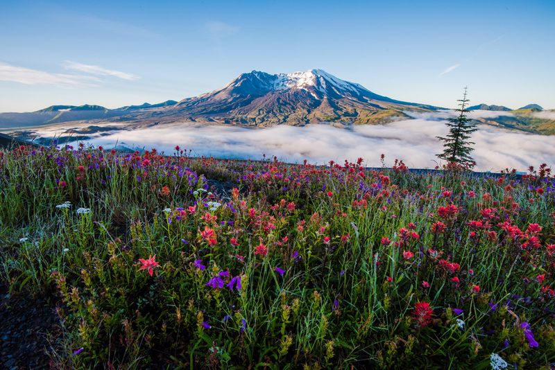 Gifford Pinchot National Forest