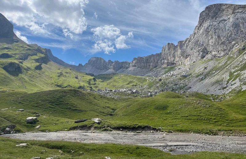 Wildhorn