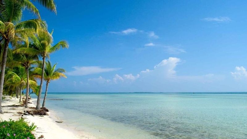 Cayo Levisa
