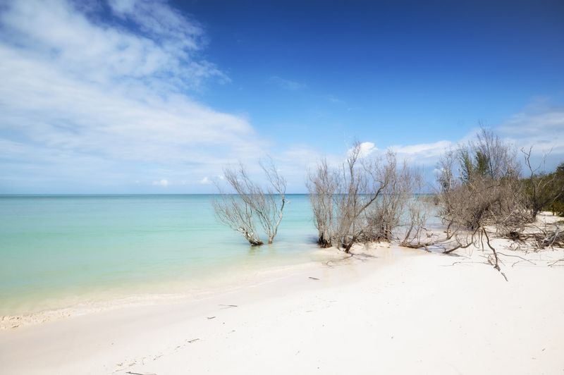 Cayo Jutias