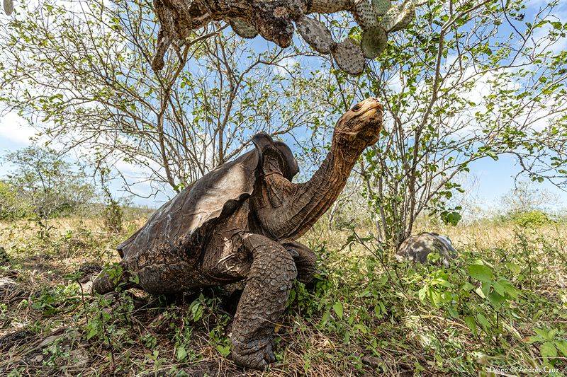 Galápagos National Park