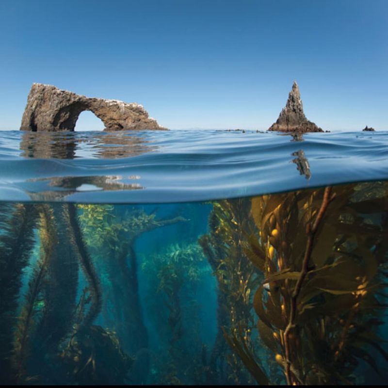 Channel Islands National Park, Ventura
