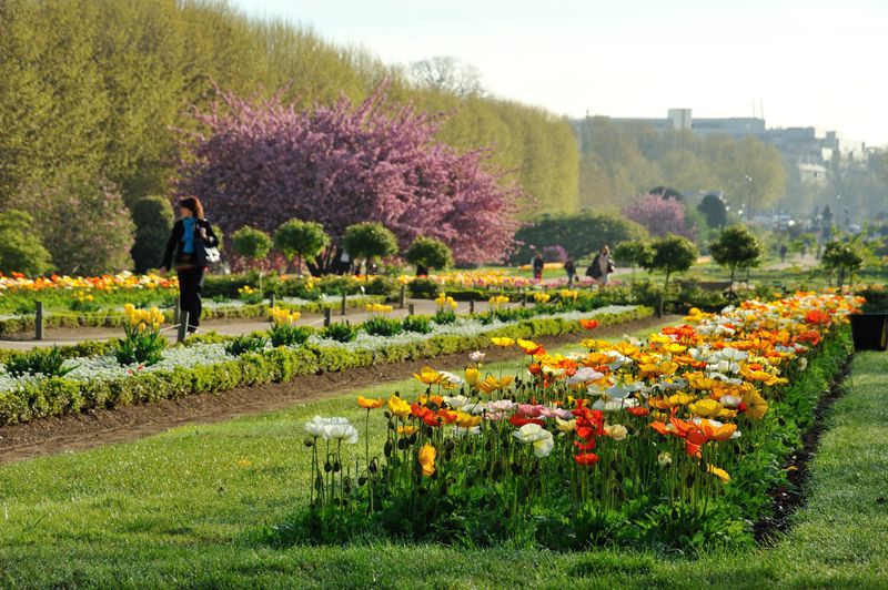 Jardin des Plantes