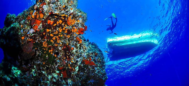 Ustica's Marine Reserve