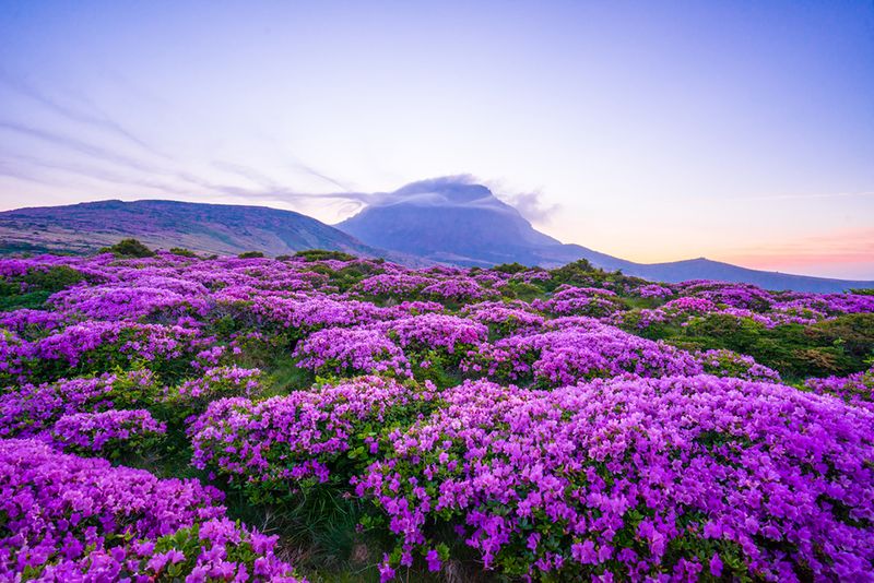 Jeju Island, South Korea