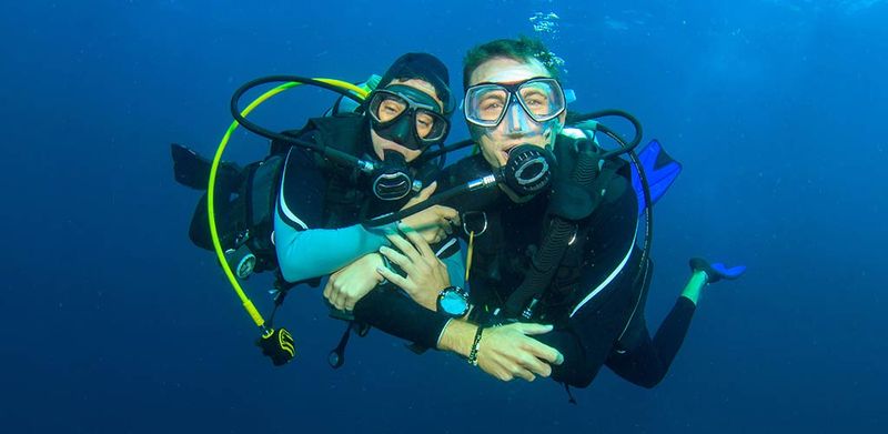 Thriving Marine Life