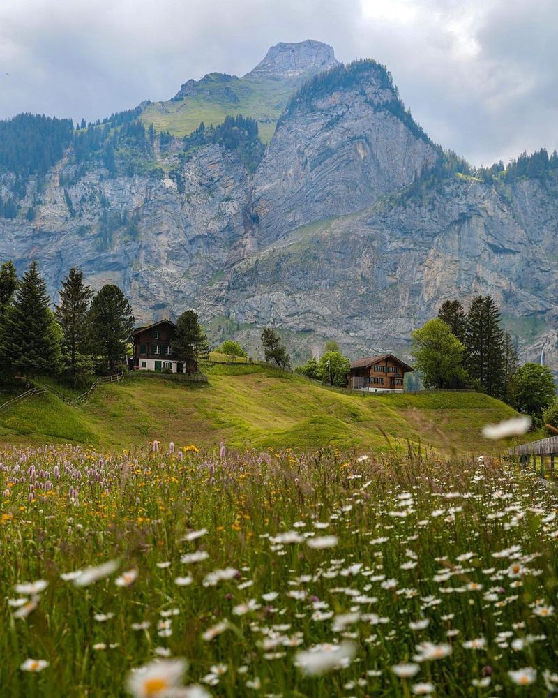 Serenity Meadows, Switzerland