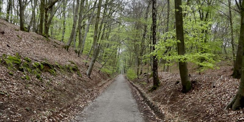 Holleweg