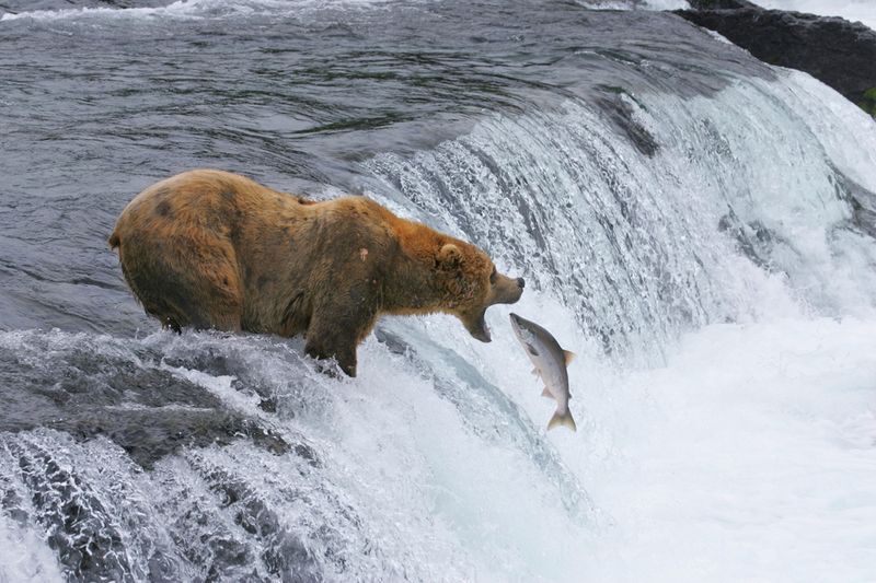 Katmai National Park, Alaska