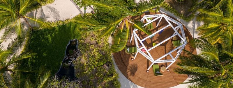 Palm Oasis