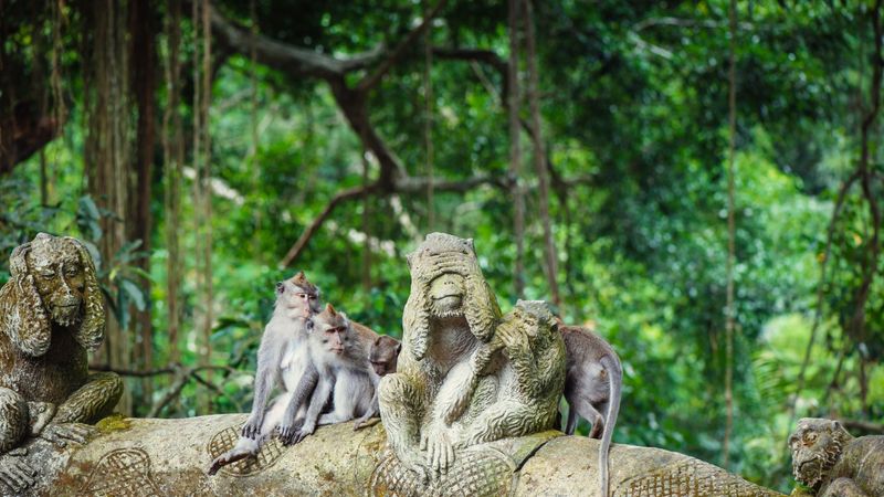 Discover the Sacred Monkey Forest Sanctuary