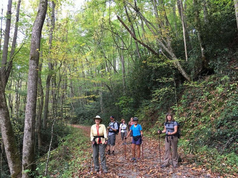 Enlightening Guided Nature Walks