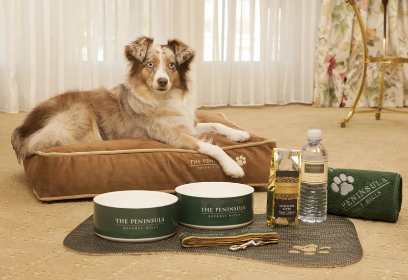 Inquire About Pet Amenities
