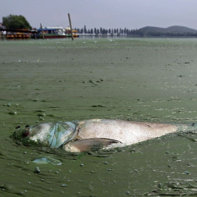 Shenzhen Beach, China
