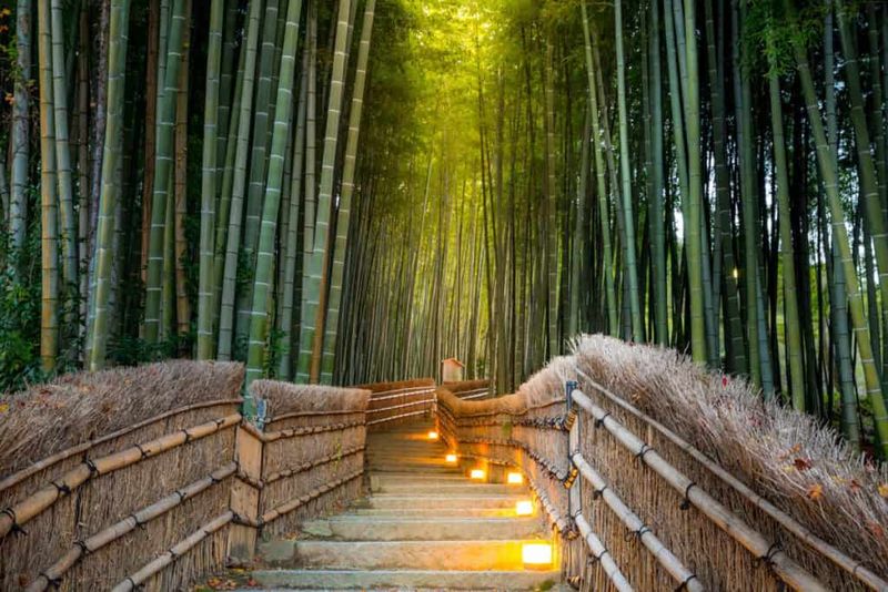 Kyoto's Arashiyama Bamboo Grove, Japan