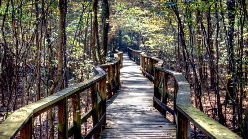 South Carolina: Congaree National Park