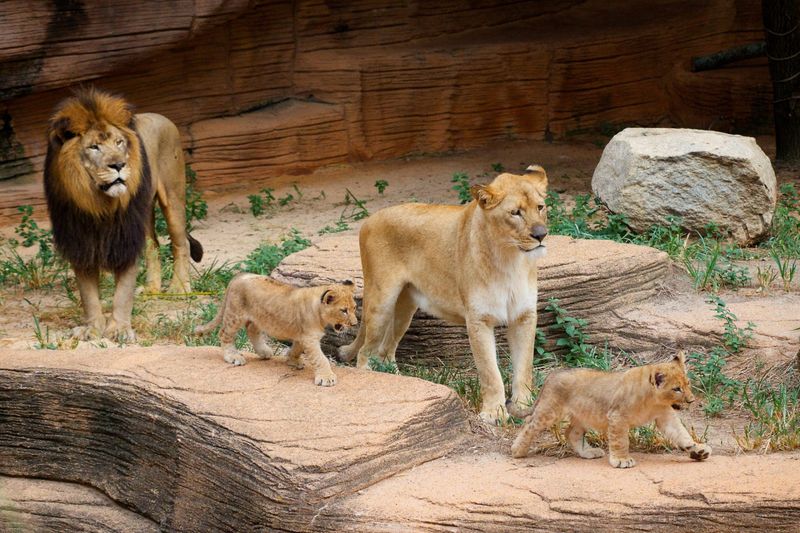 South Carolina - Riverbanks Zoo and Garden