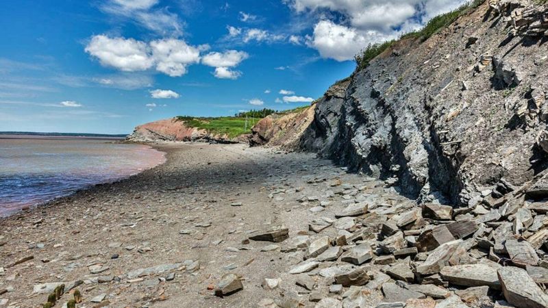 Joggins Fossil Cliffs