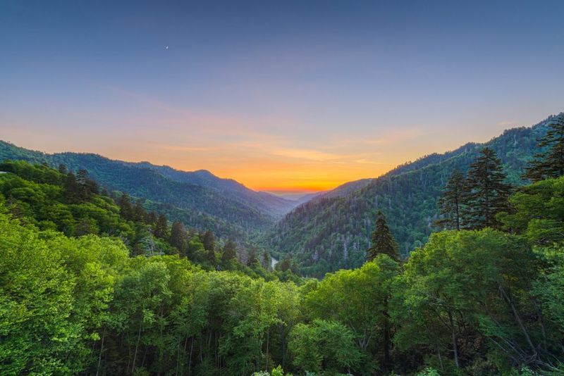 Newfound Gap: A Scenic Divide