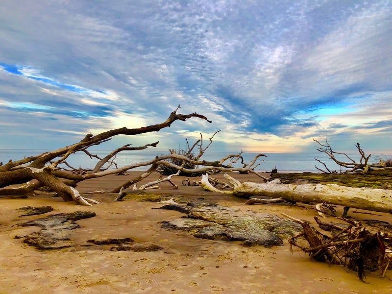Boneyard Beach, Florida