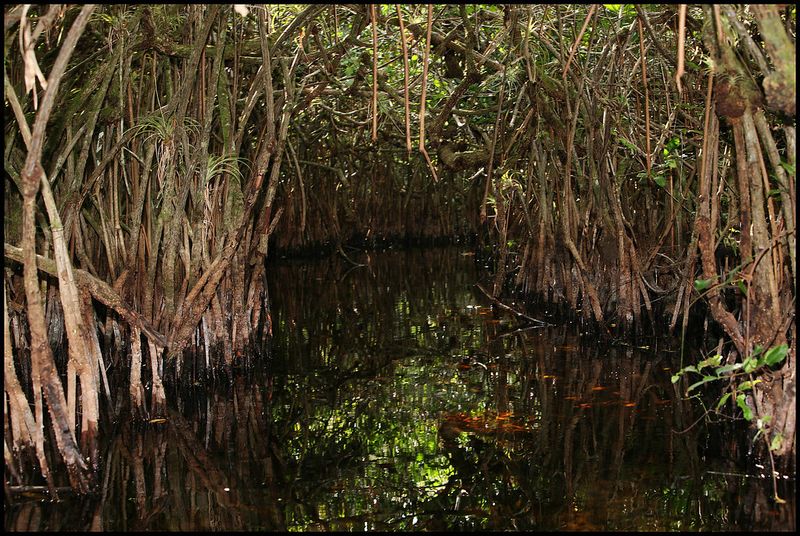 Everglades National Park