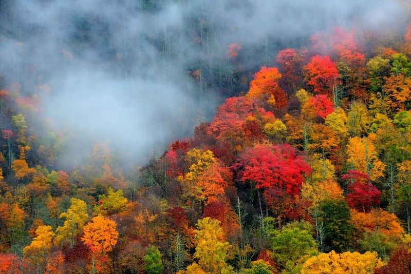 Great Smoky Mountains National Park
