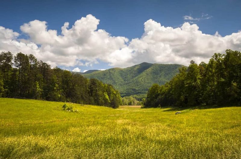 Great Smoky Mountains National Park