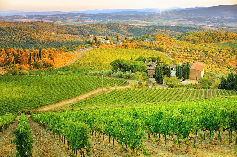 Tuscany's Rolling Hills of Love