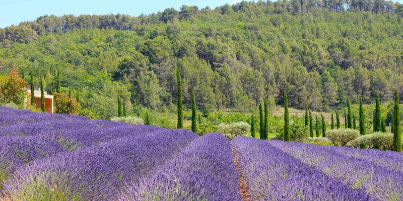 Provence, France