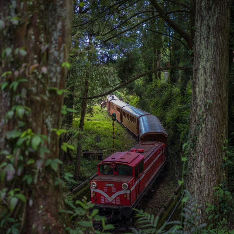 Route 6: The Forest Retreat