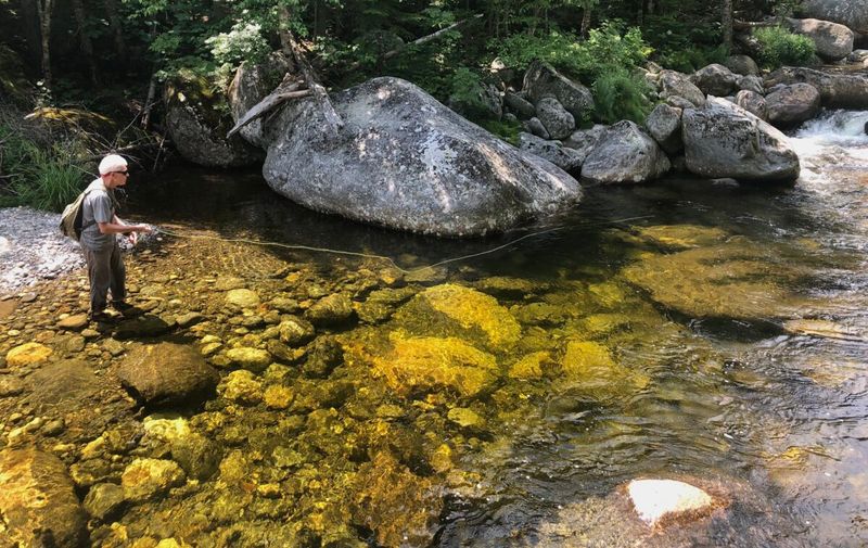 Trout Fishing Excursion