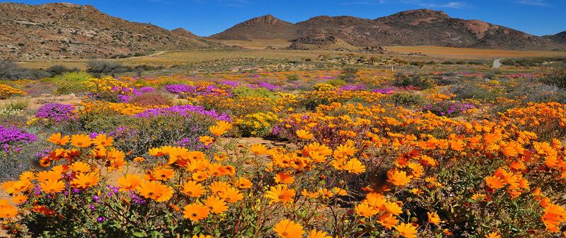 Namaqua National Park