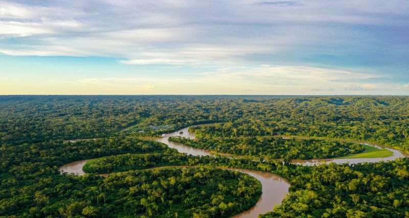 Amazon Rainforest