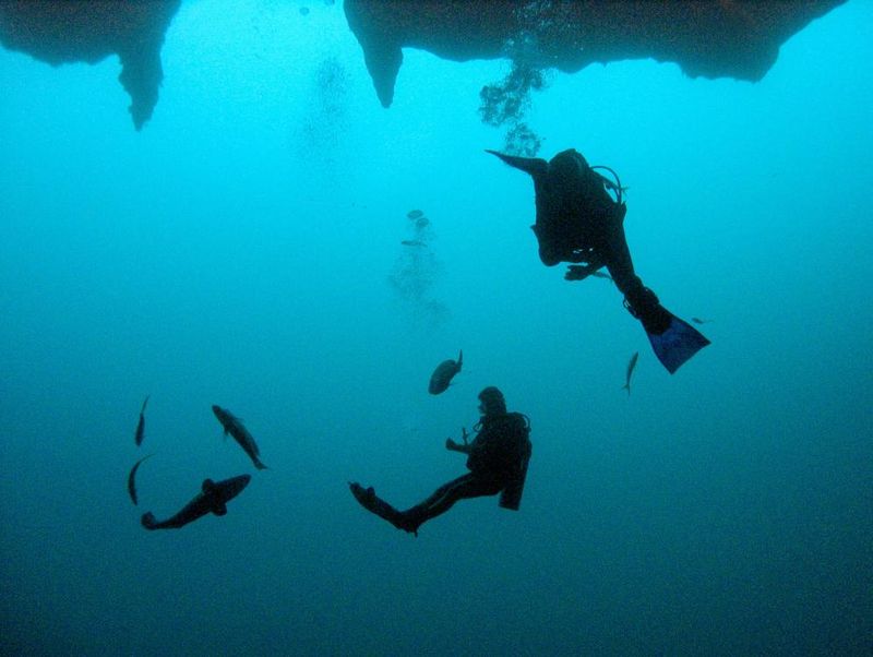 Diving the Great Blue Hole