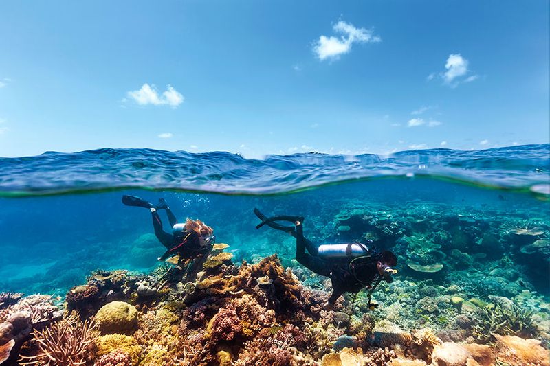 Great Barrier Reef