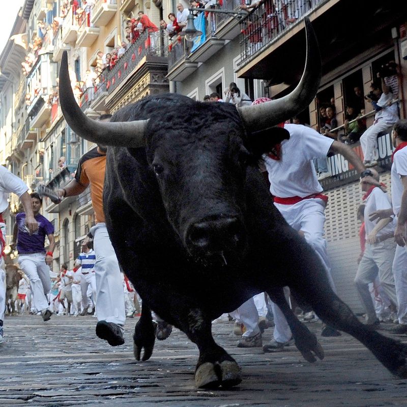 Experiencing the Thrill of the Running of the Bulls in Pamplona