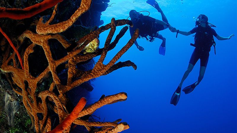 Little Cayman, Cayman Islands