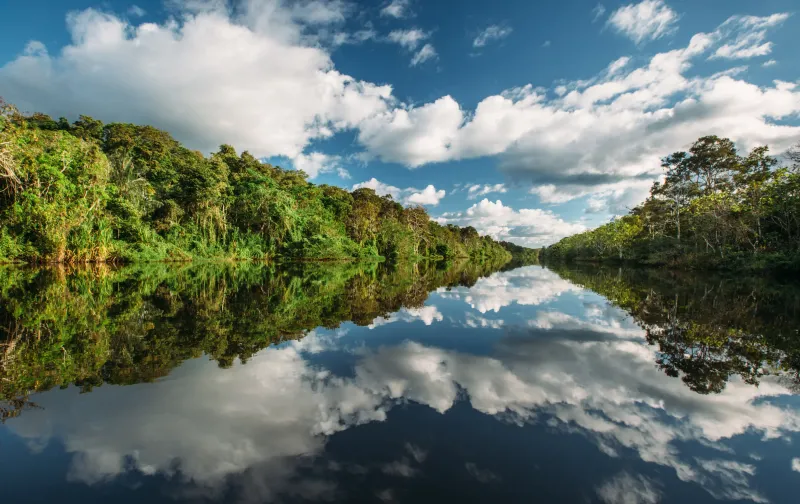 Amazon River