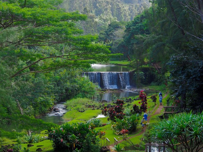 Wai Koa Loop Trail