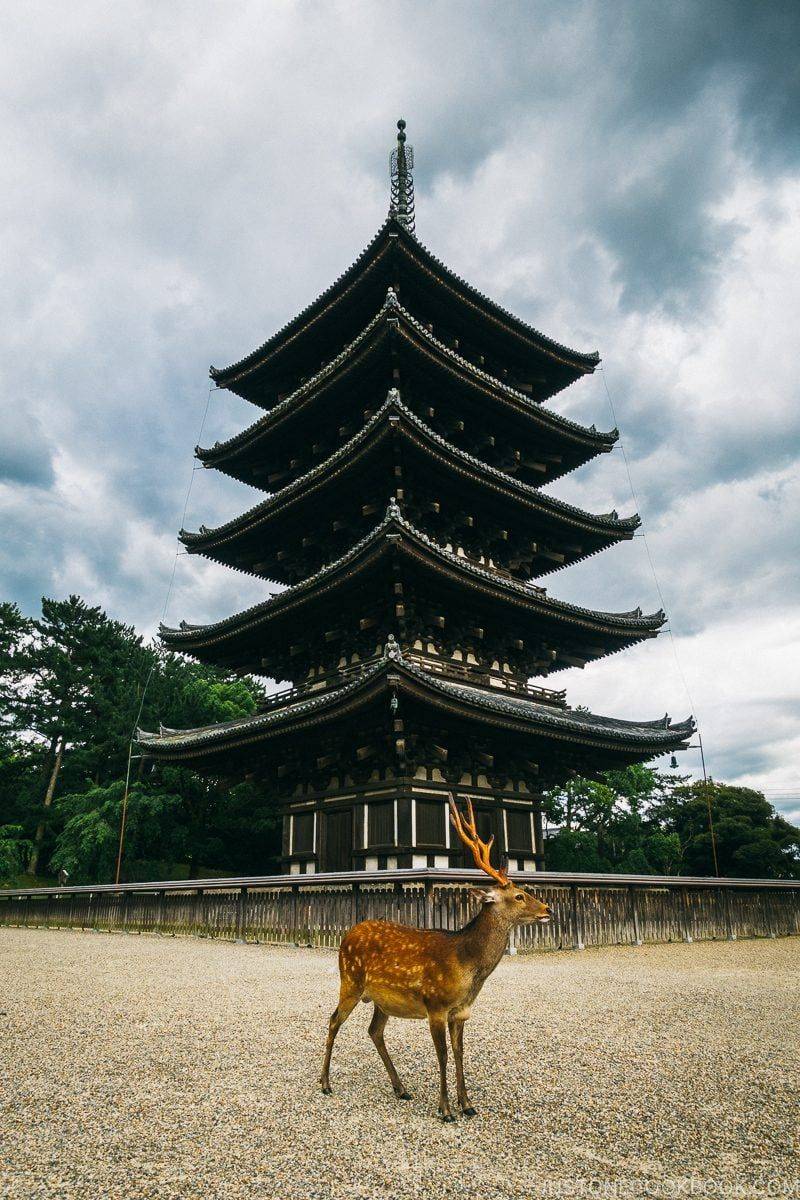 Nara, Japan