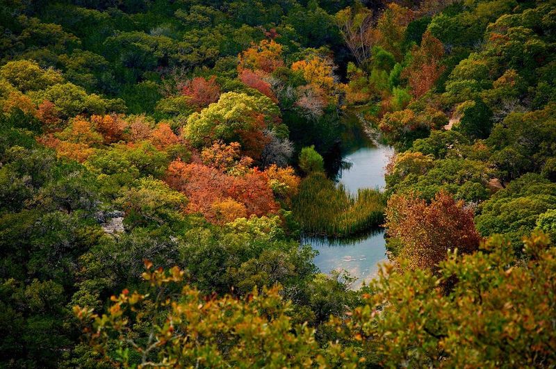 Lost Maples State Natural Area