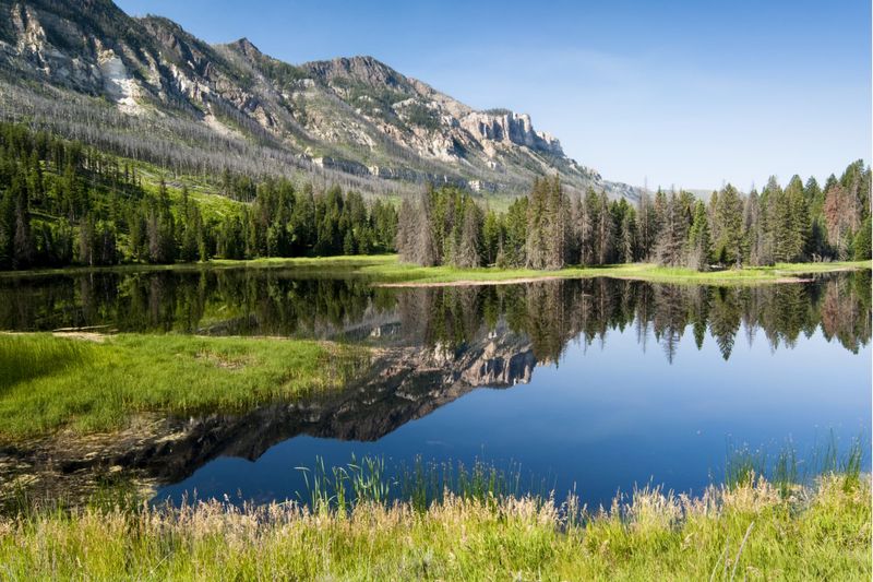 Shoshone National Forest