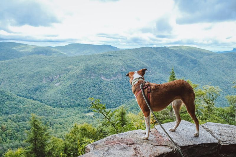 Asheville, North Carolina