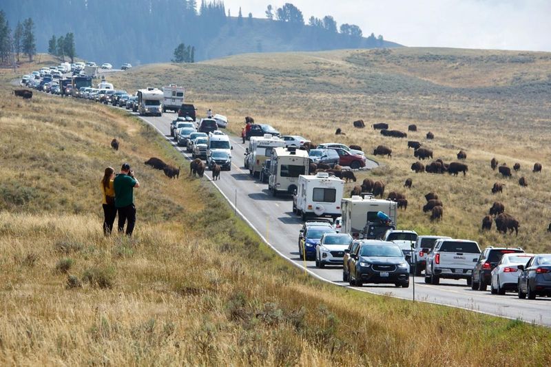 Yellowstone National Park, USA