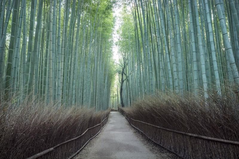 Kyoto, Japan