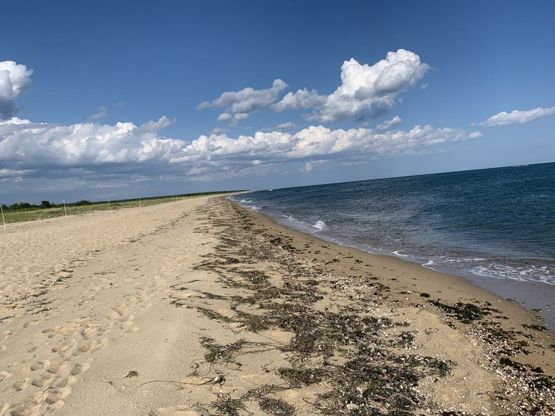 South Cape Beach