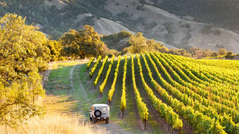 Healdsburg